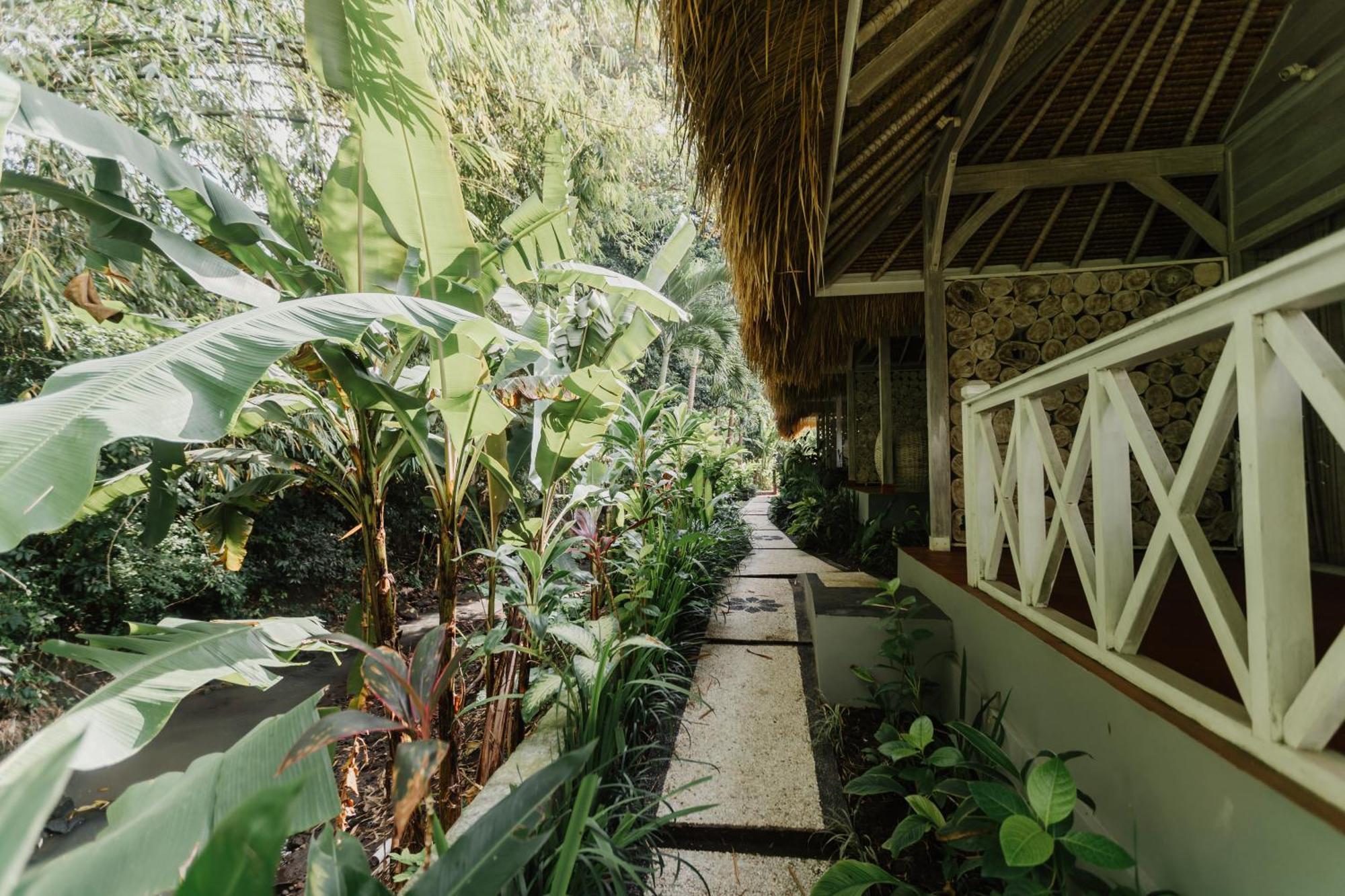 Maylie Bali Villa & Bungalows 캉구 외부 사진